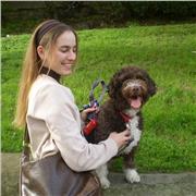 Soy Sofía, doy clases particulares para alumnado de Educación Primaria, especialista en educacion especial